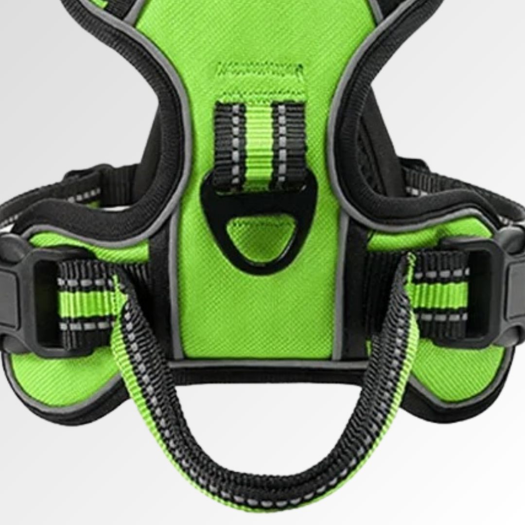 Anti-Pull Dog Harness