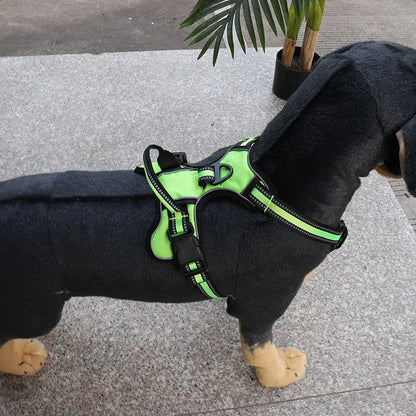 Anti-Pull Dog Harness