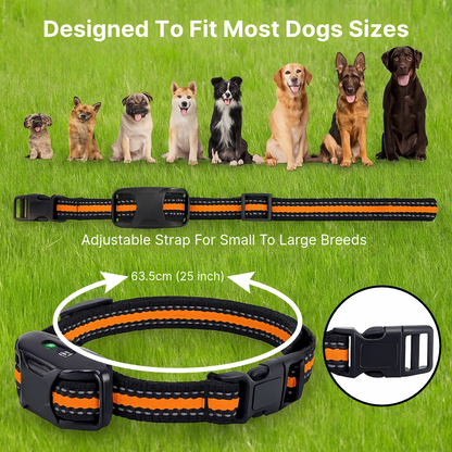 Remote Control Dog Training E-Collar