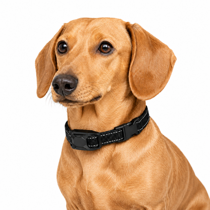E-Collar Receiver For Dog Training